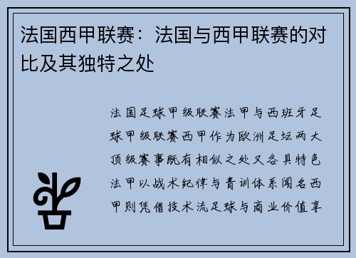 法国西甲联赛：法国与西甲联赛的对比及其独特之处